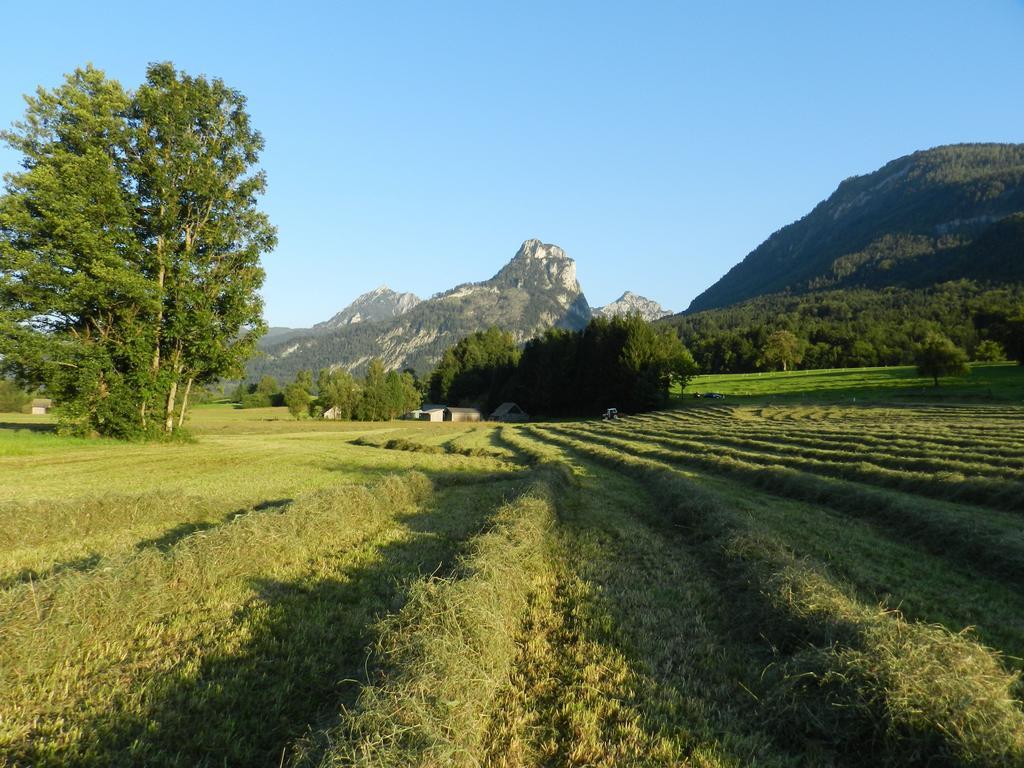 Gasthof Wiesenhof Strobl Buitenkant foto